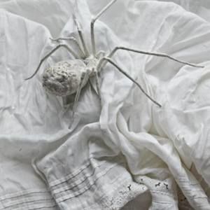 Meet your Posher, Janelle